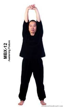 MBX-12 mbx1 awakening x350