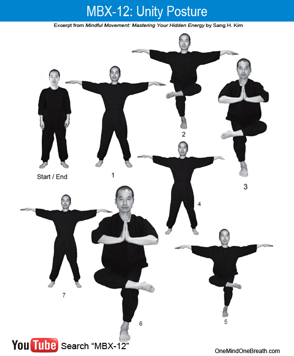 mbx12- chart origx600