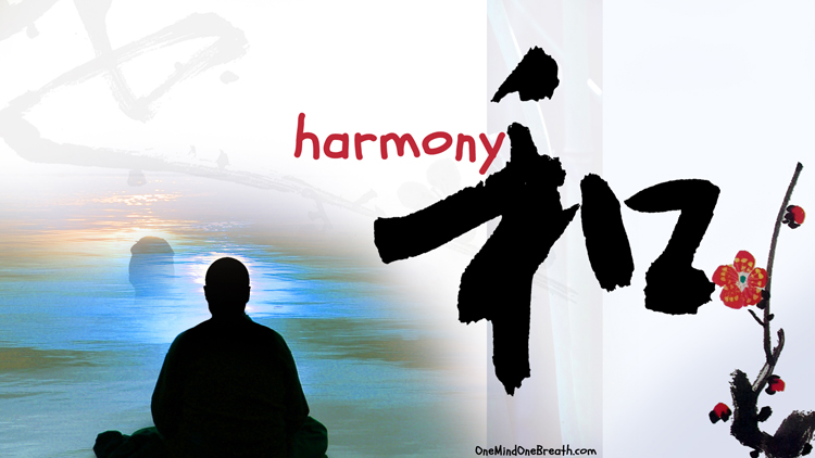 100 Day Meditation: My Experience Part 2 Harmony